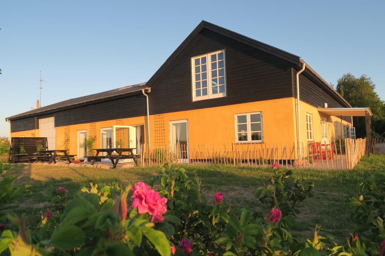 Bed & Breakfast Du Nord Vejby 외부 사진